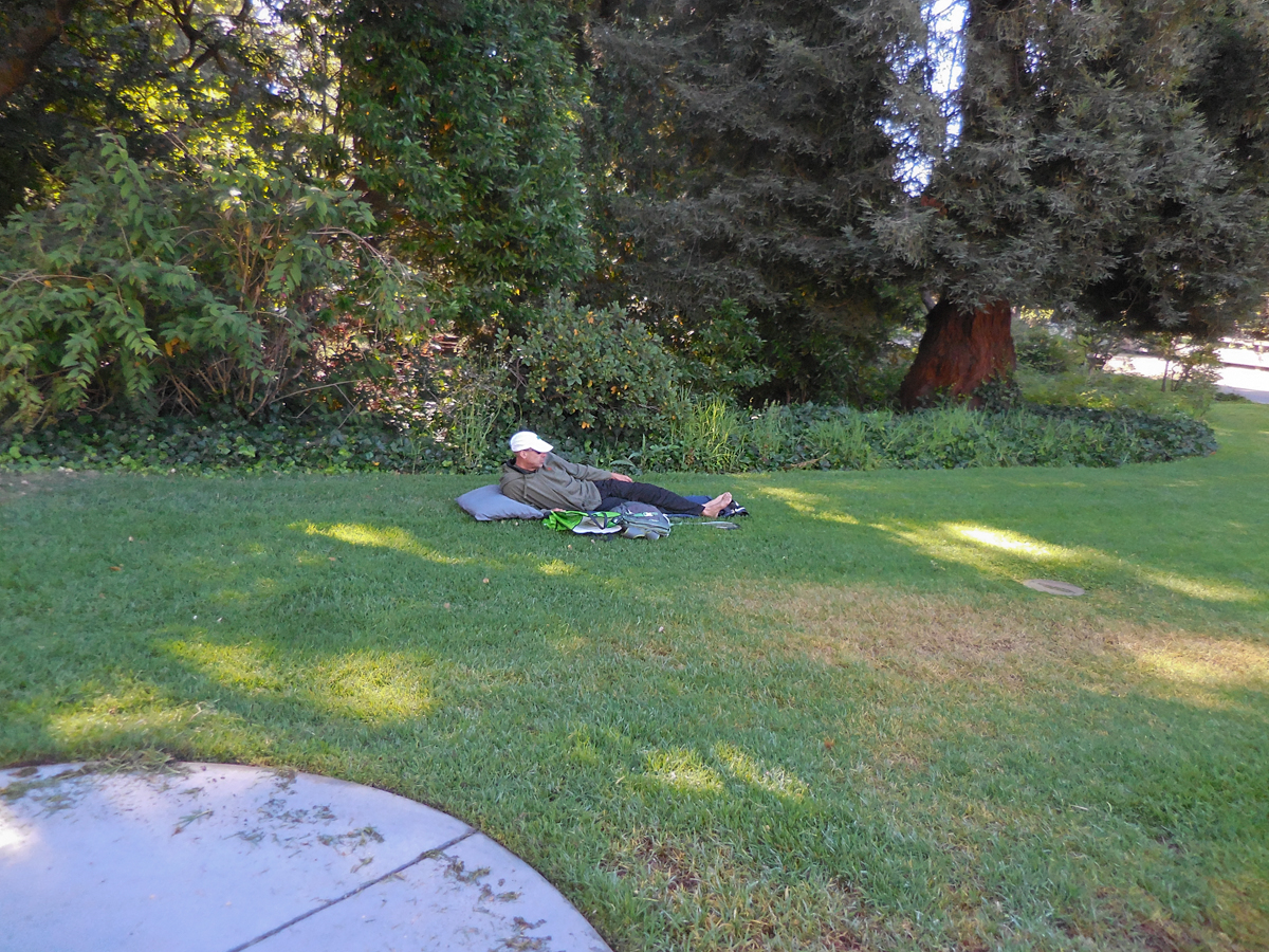 Laying down posted58